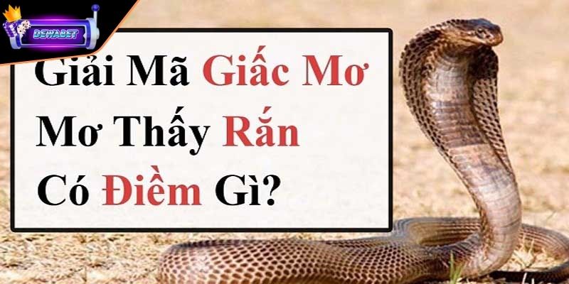 Giải mã bí ẩn điềm báo nằm mơ thấy rắn là tốt hay xấu?